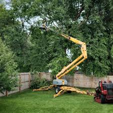 Grass Overseeding in Grayslake, IL